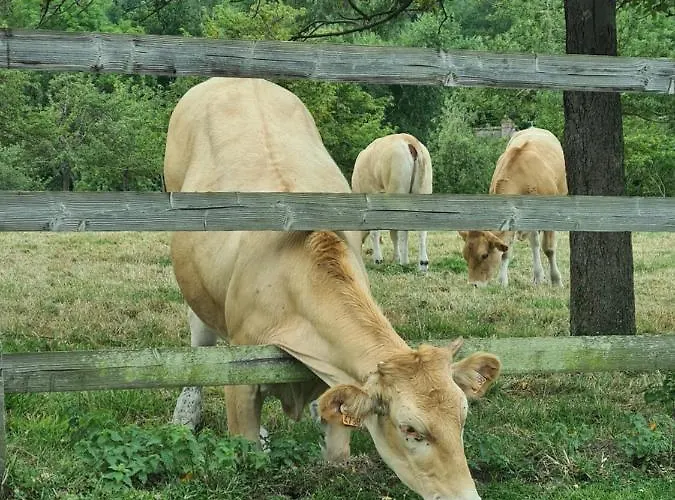 La Terrasse De L'estuaire - أونفلور