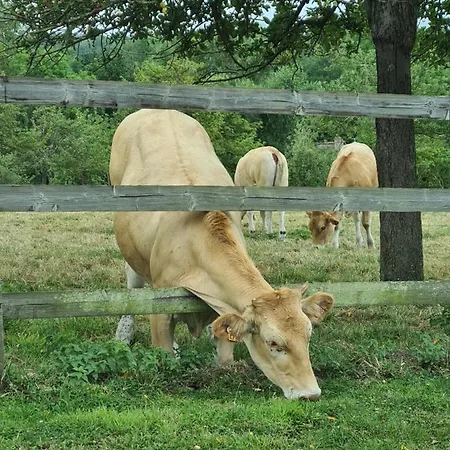 La Terrasse De L'estuaire - أونفلور