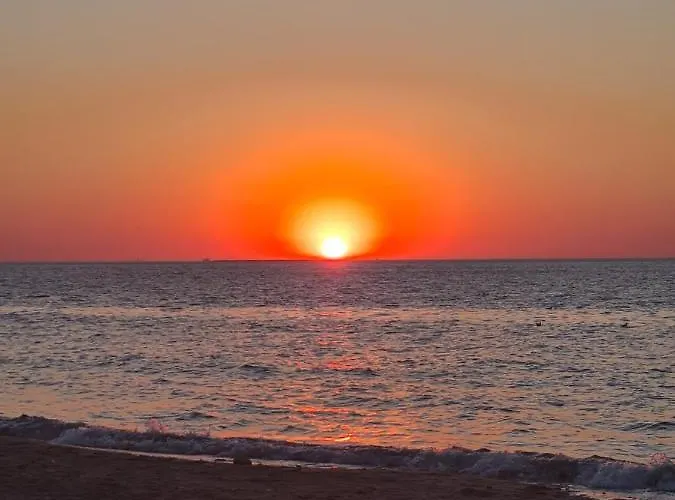Guest house La Terrasse De L'estuaire - Honfleur